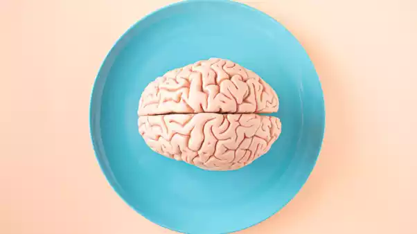 Illustration d'un cerveau humain servi dans une assiette - L’influence des neurosciences et microlearning - Skills Mag - Skills Mag